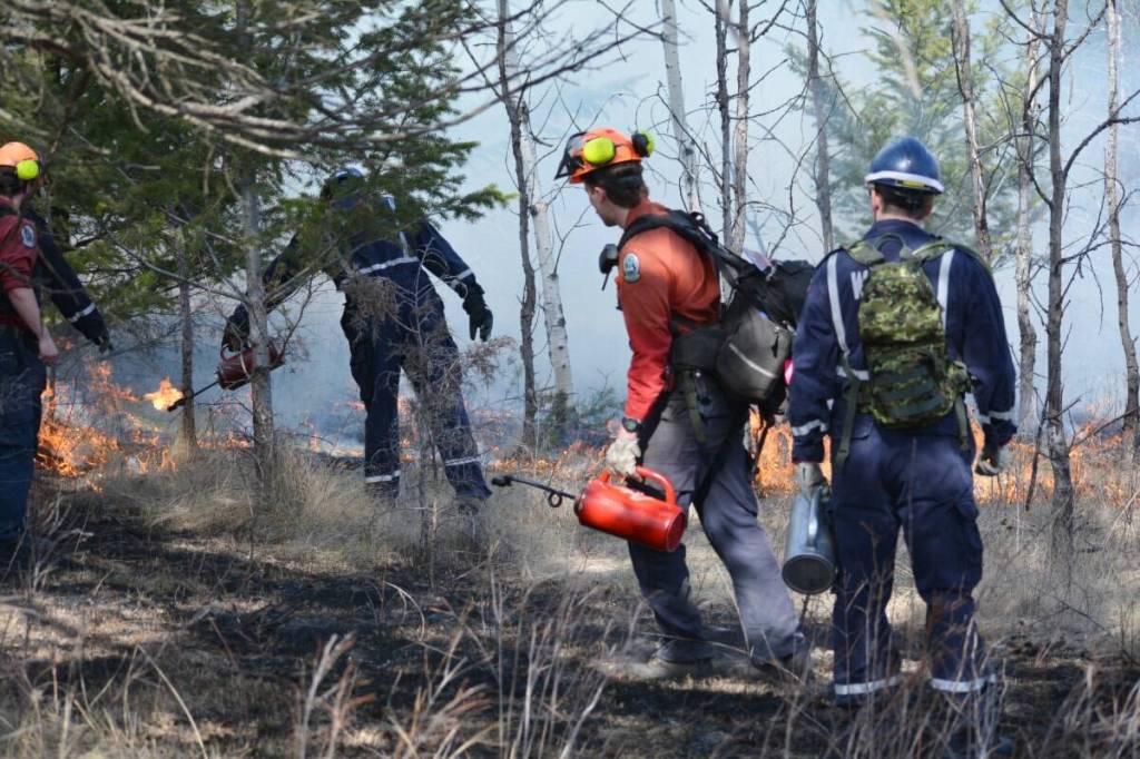 Crews ignite and monitor during a previous prescribed burn in Williams Lake. (Tribune file photo)