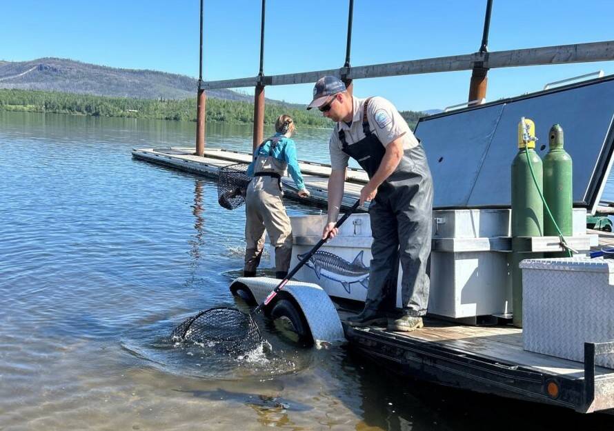 Rio Tinto renews support of Nechako sturgeon recovery and youth training